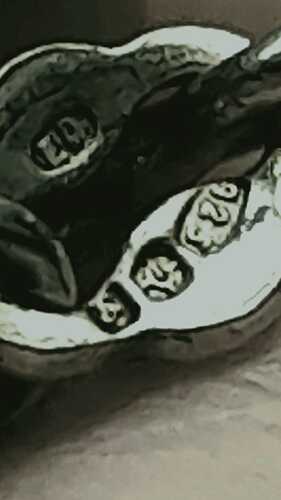 IMG-20250124-WA0001-1