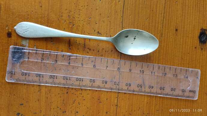 WhatsApp Image 2025-11-09 at 11.10.19