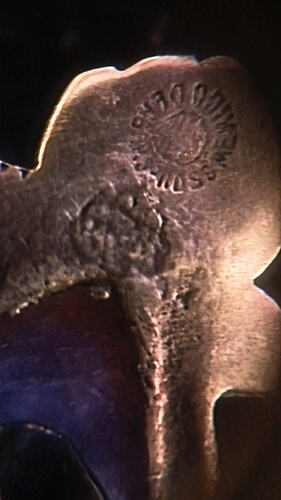 IMG_20260121_225445159 (1)