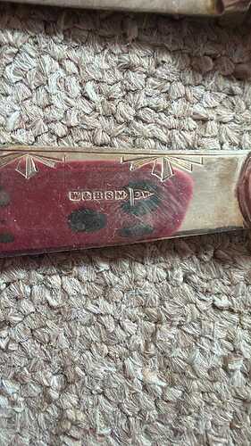 Messenger_creation_610A53C8-779A-476D-A8FC-71DEAF0B51F5