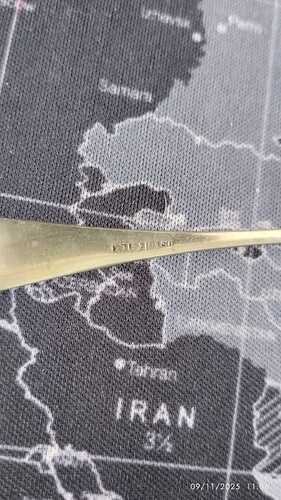 WhatsApp Image 2025-11-09 at 11.10.19 (1)