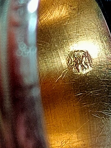 IMG20250618090405