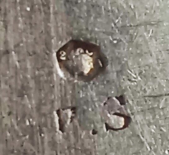 2594cebf72d4c2a0b73173d90d4f10d03c871ffb