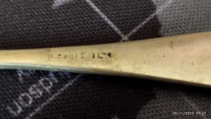 WhatsApp Image 2025-11-09 at 11.10.33