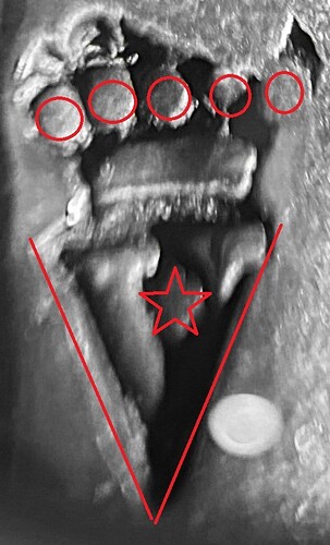 71f920b8402359d8079a255c93b3e5e52703e94b