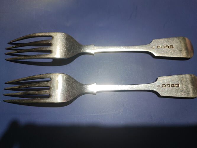 1772825835229107694443809670368