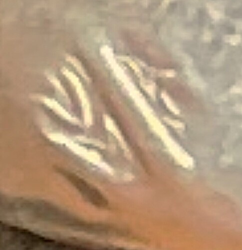 8aaddd1ff2018580ca484dfeb69b9969cc950c33