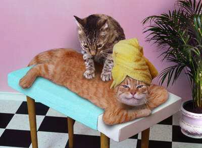 cat_massage.jpg