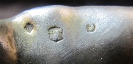 shell 004.JPG