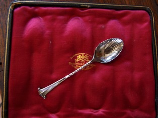 spoons1.jpg