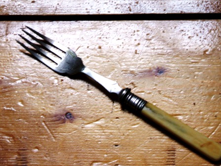 fork2.jpg