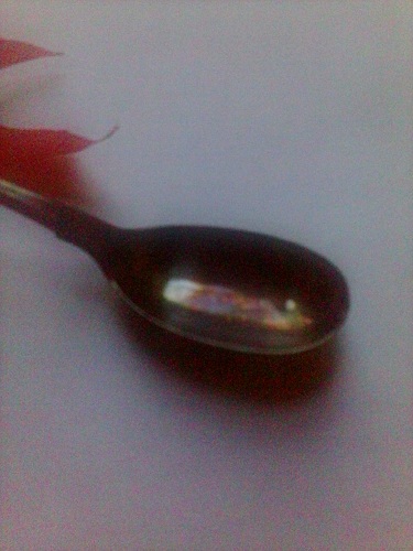 spoon6.jpg