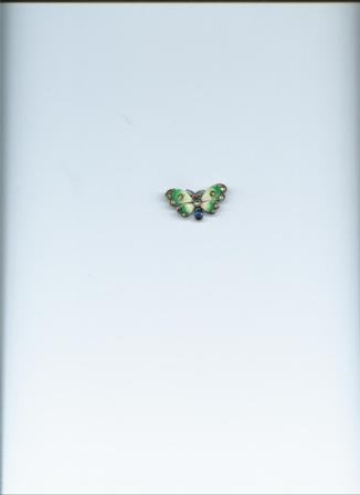 butterfly 003.jpg