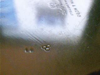 Picture 010.jpg