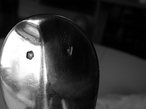 P1070676-500.JPG