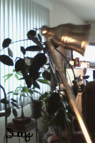 2011-12-17 16-47-49.503.jpg