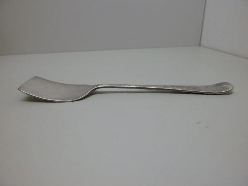 P1000393a.jpg